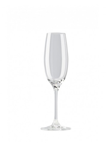 Copa Flauta Champán-Divino