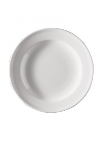 Plato Llano Con Ala 28...